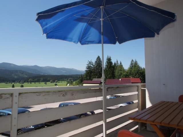 Perfect Day Apartment Bad Mitterndorf Kültér fotó