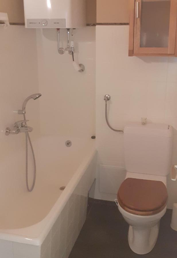 Perfect Day Apartment Bad Mitterndorf Kültér fotó